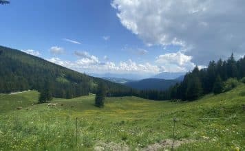 Kurztrip an den Waginger See